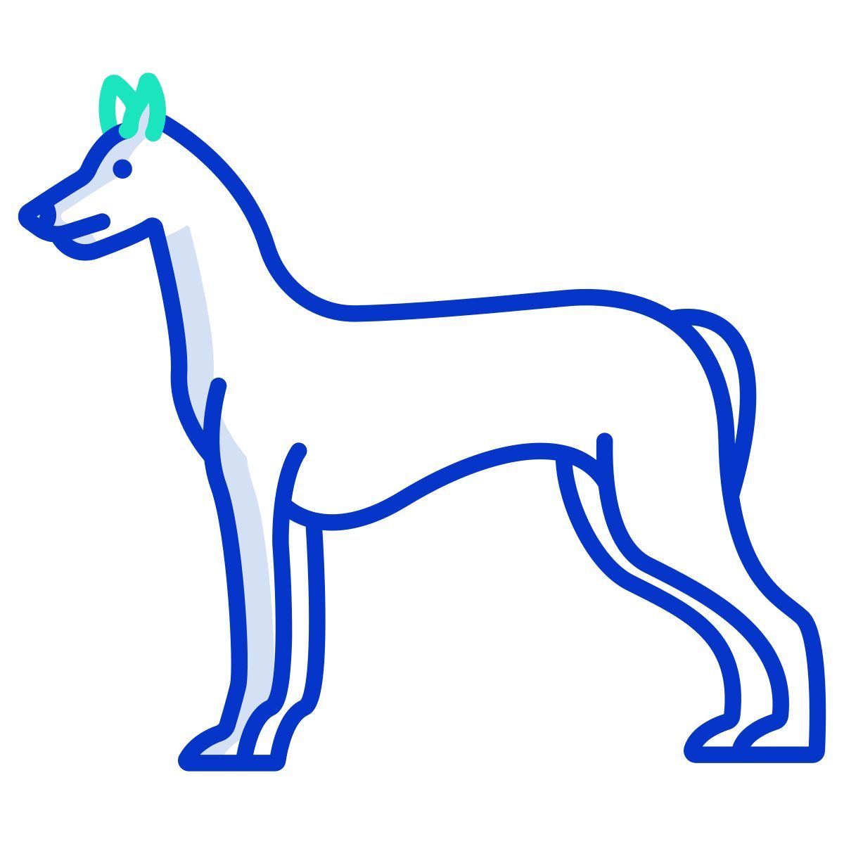 pharaoh hound icon