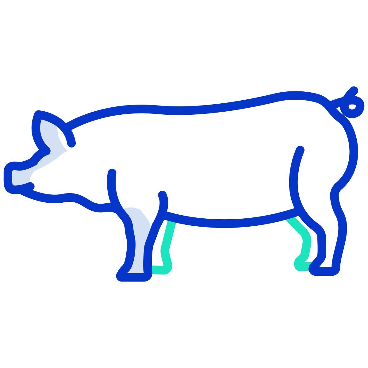 pig icon