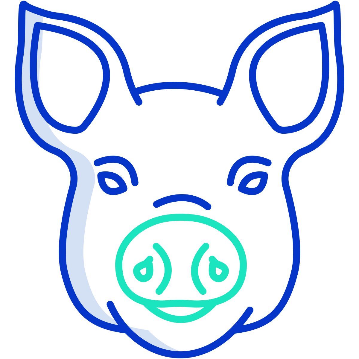 pig icon
