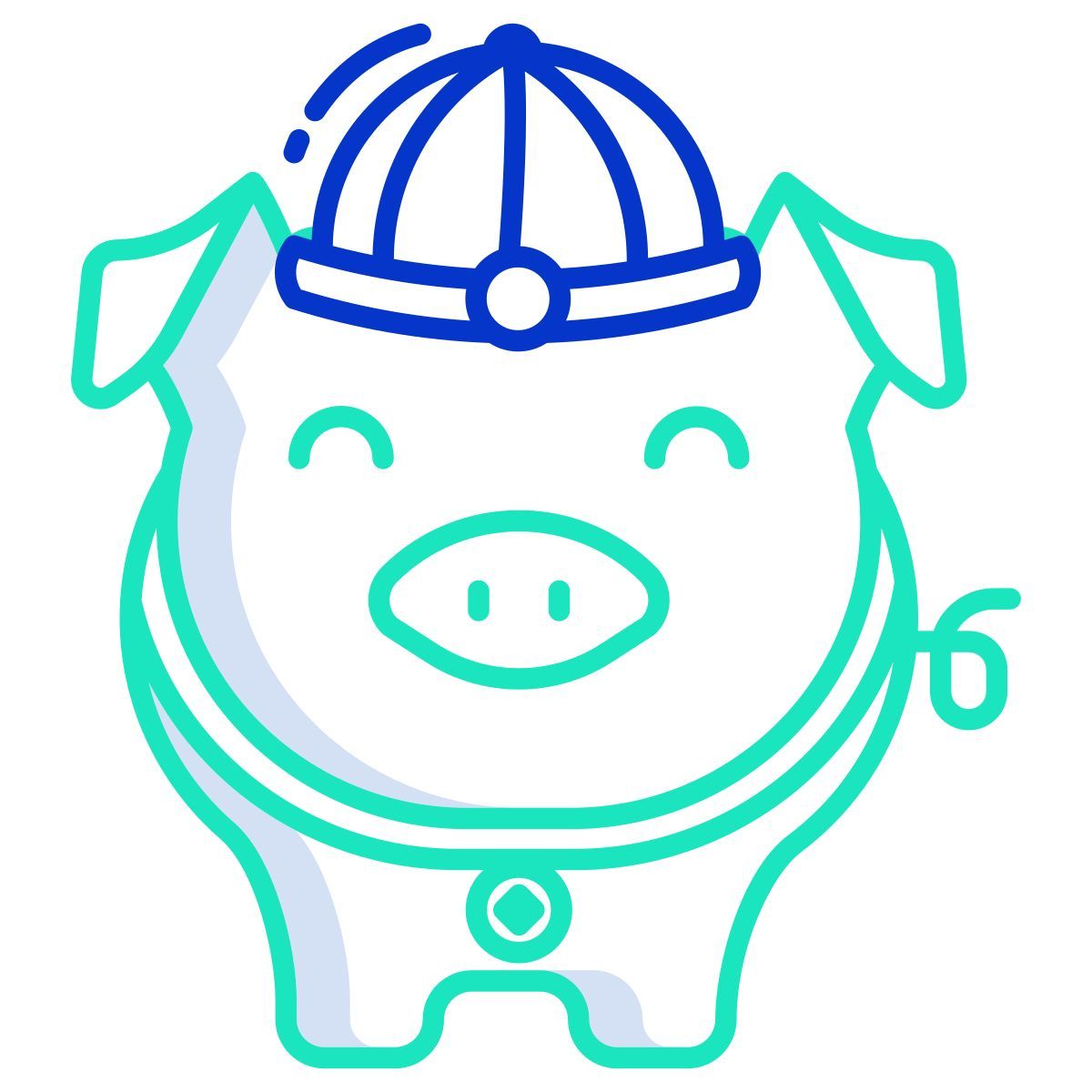 pig icon