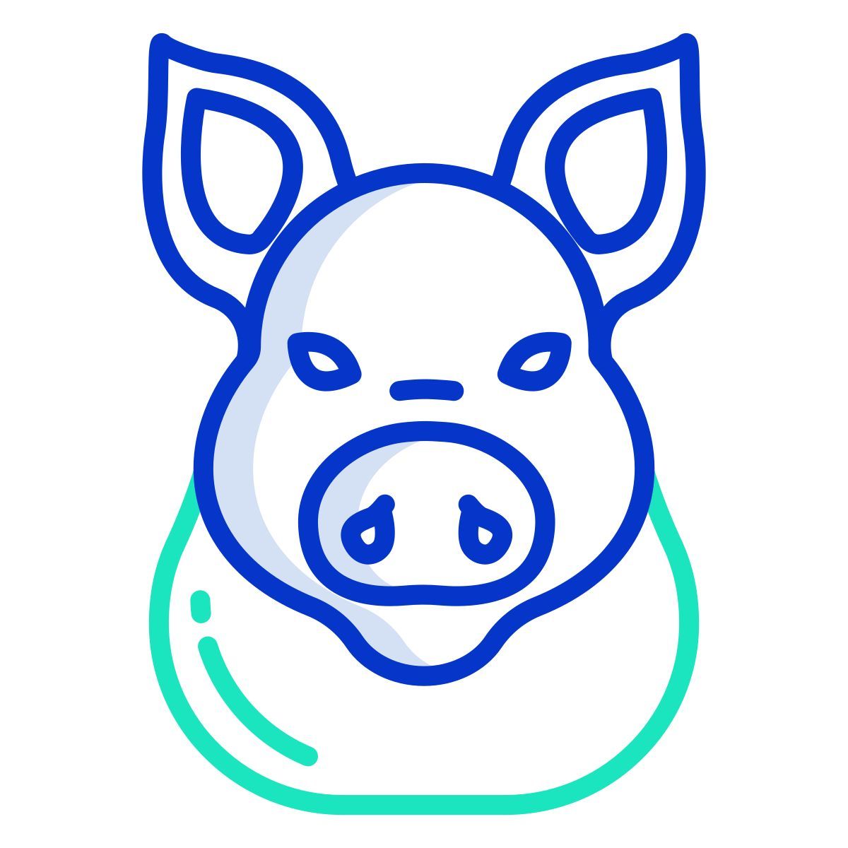pig icon