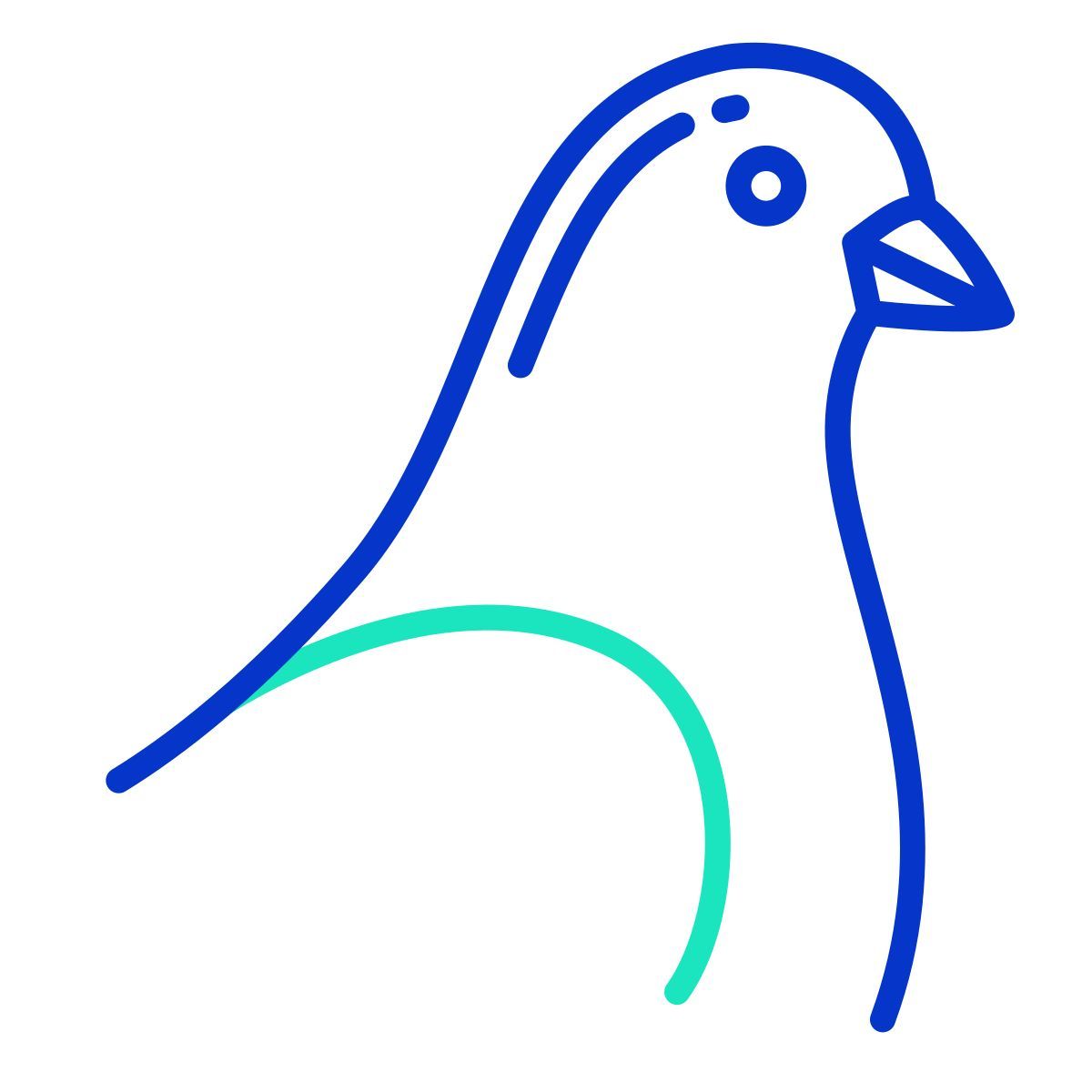 pigeon icon