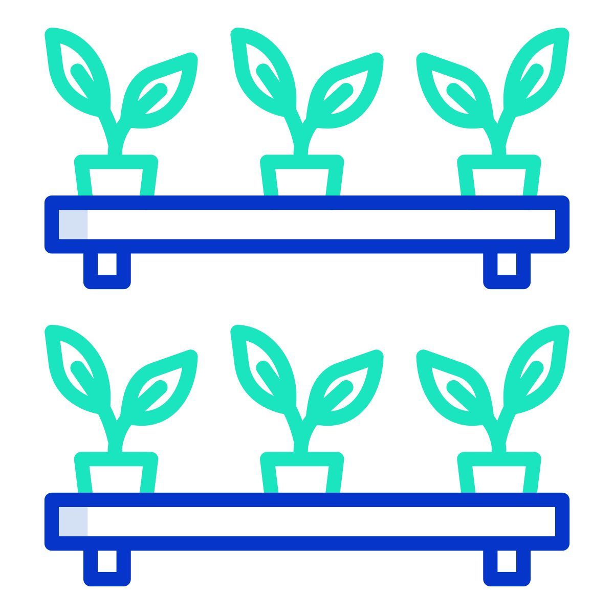 plant icon