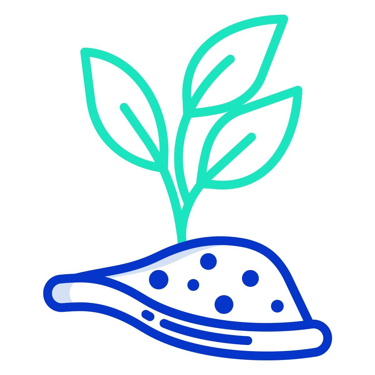 plant icon
