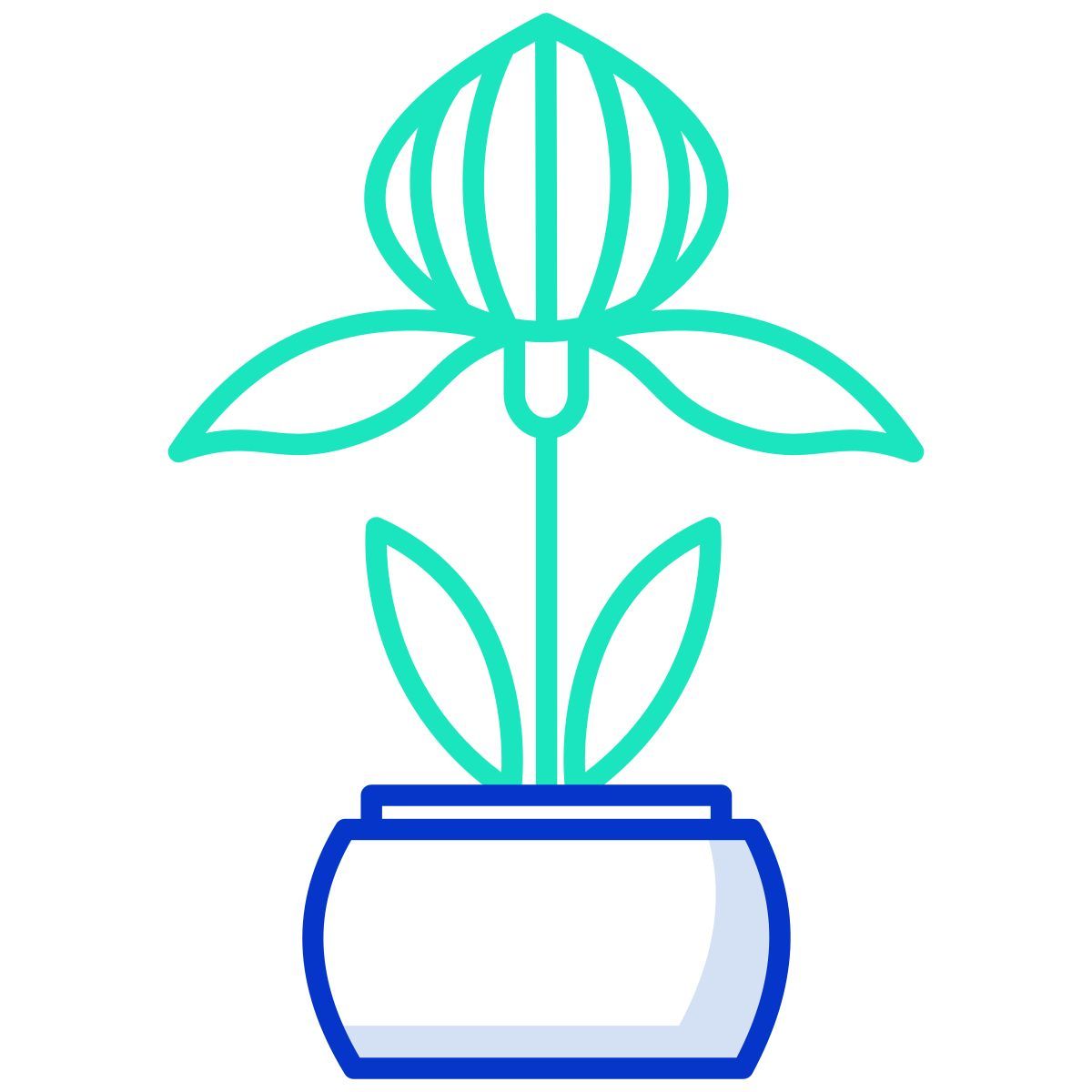 plant icon
