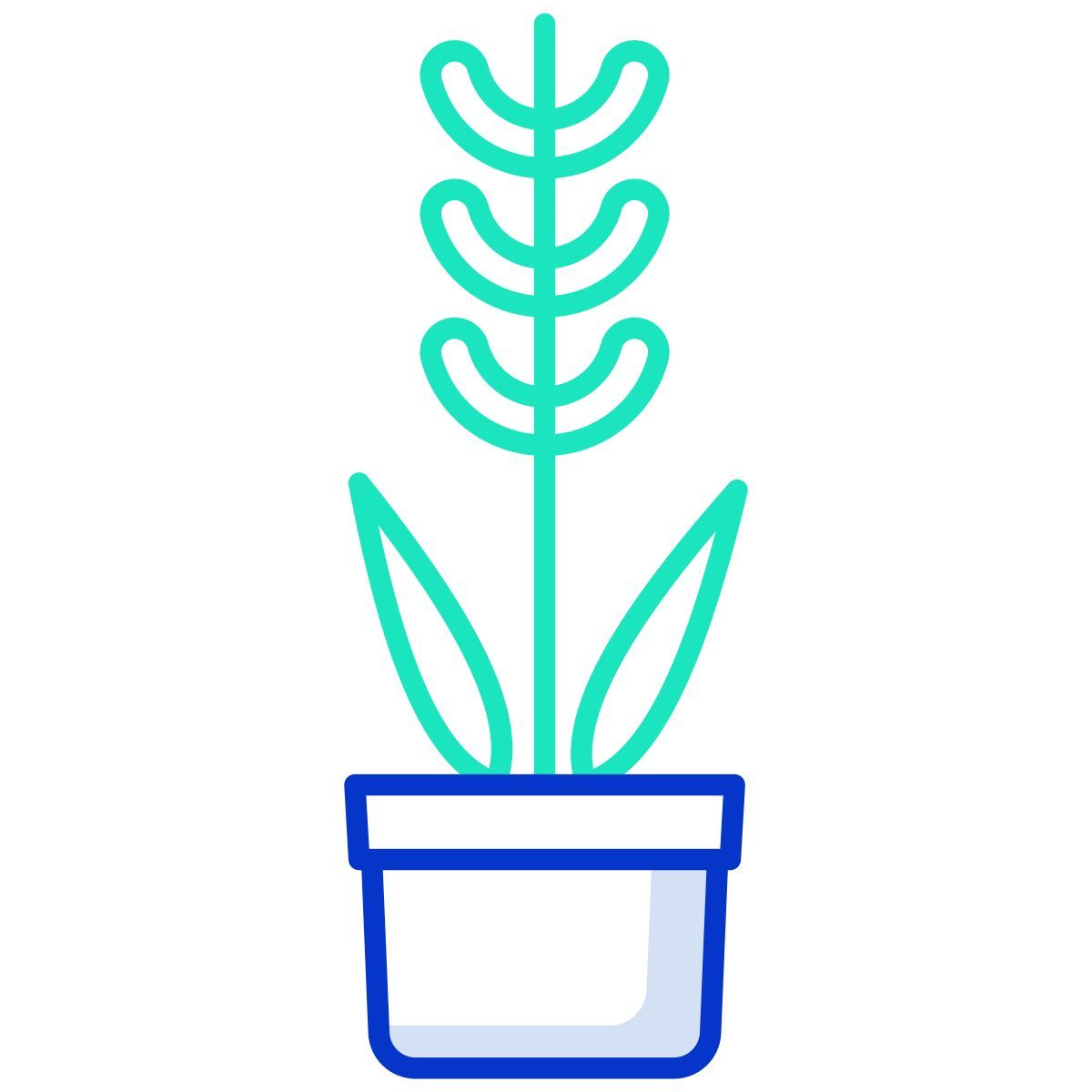 plant icon