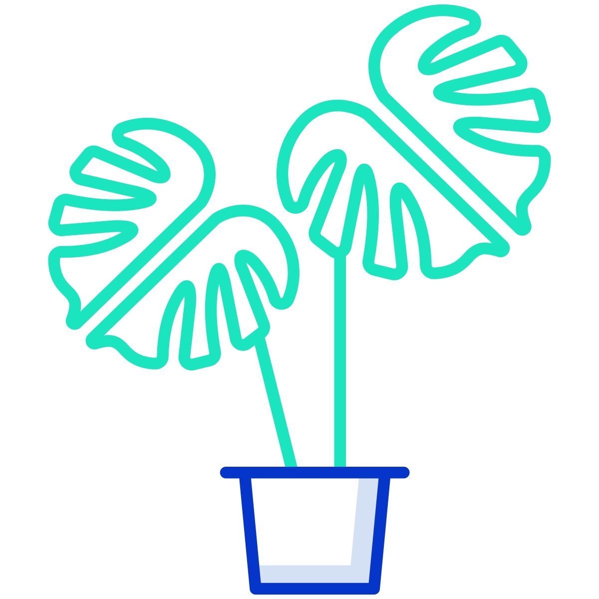 plant icon