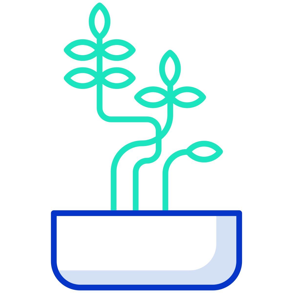 plant icon