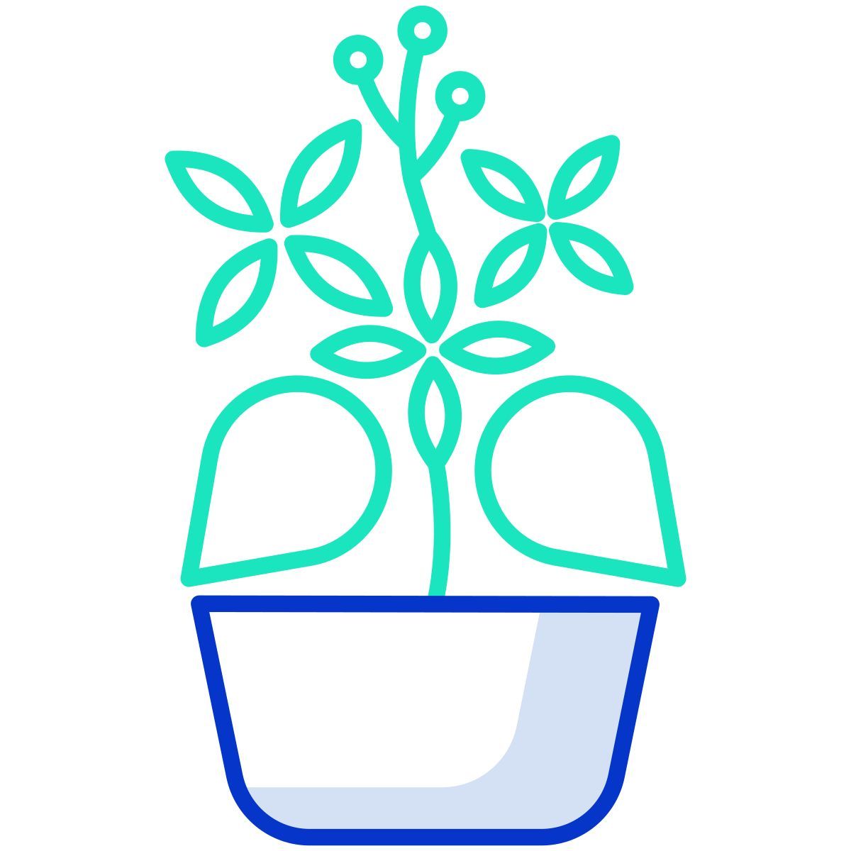 plant icon