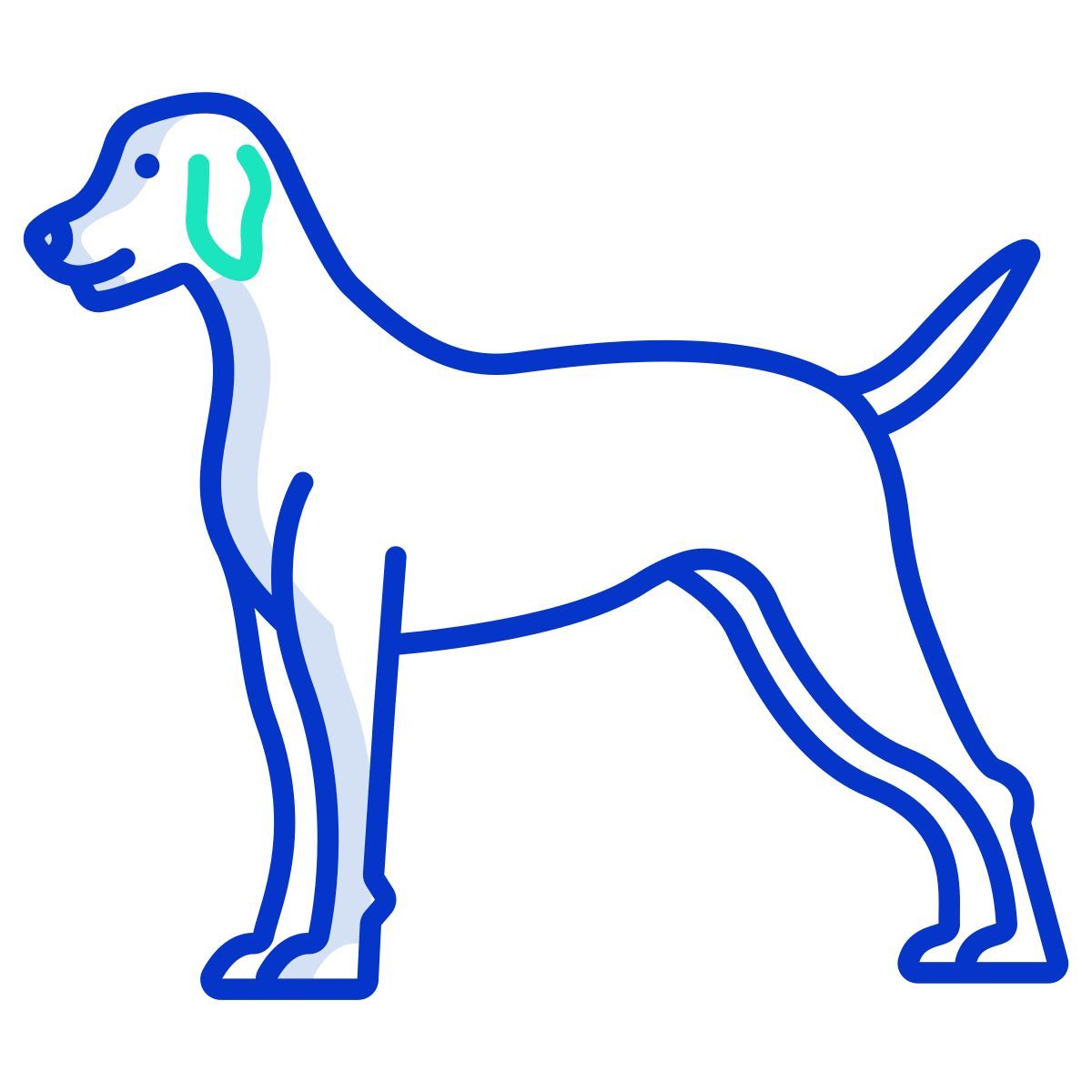 dog icon