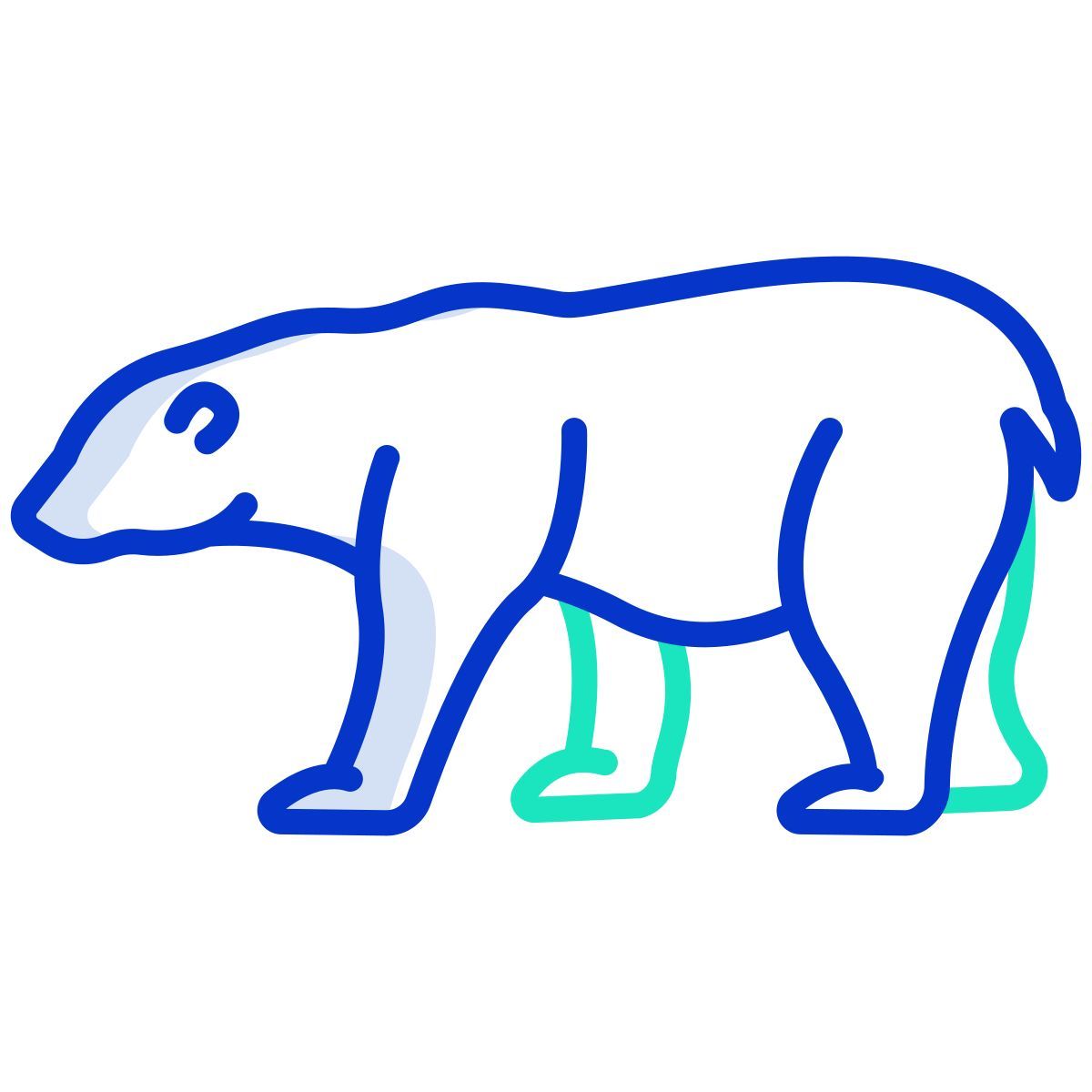 orso polare icon