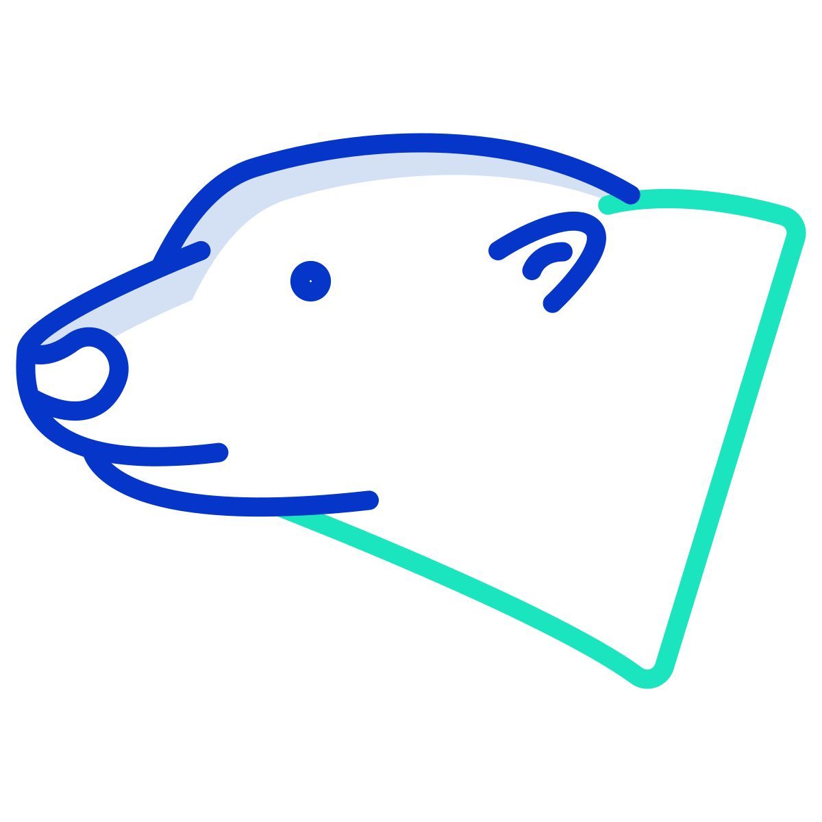 orso polare icon