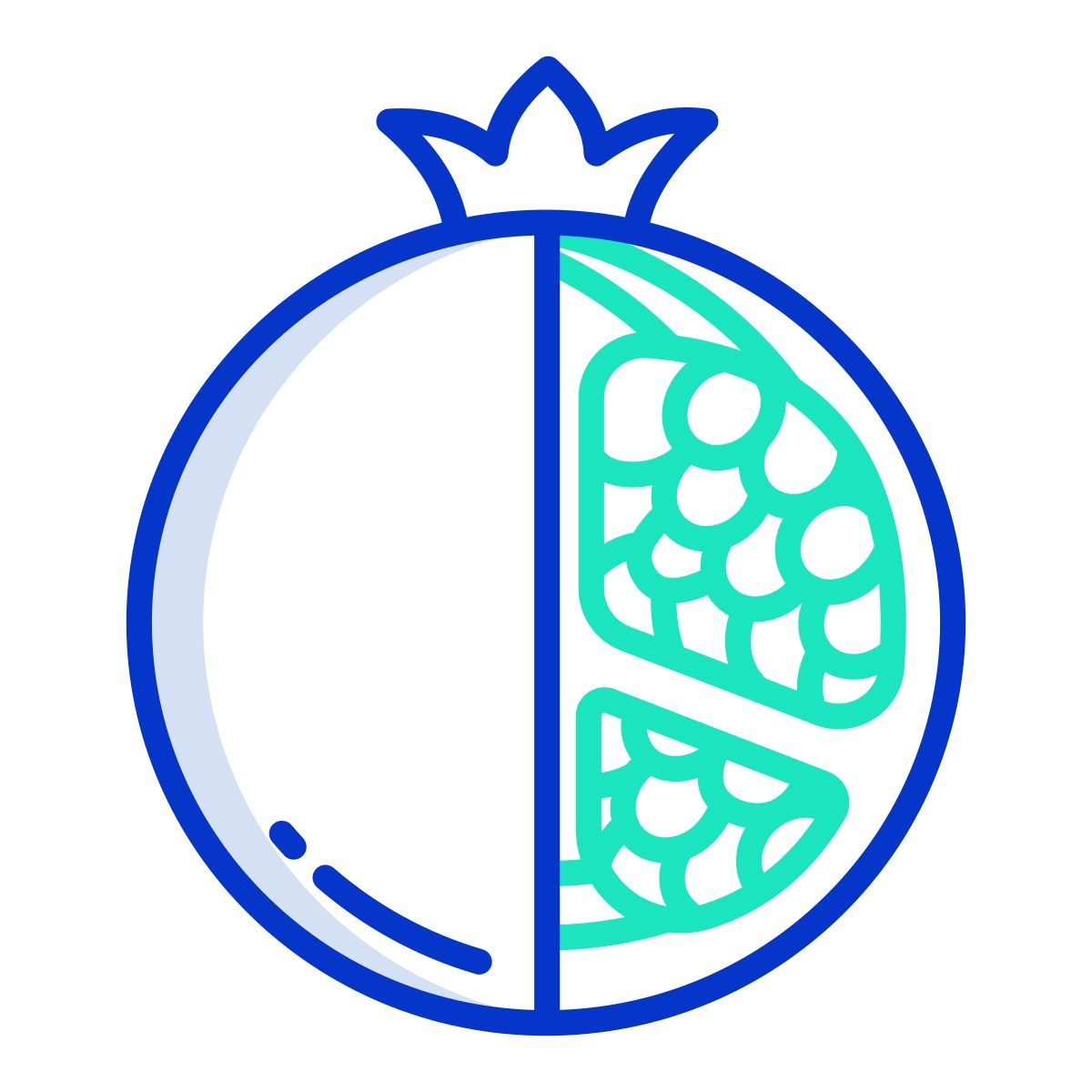 pomegranate icon