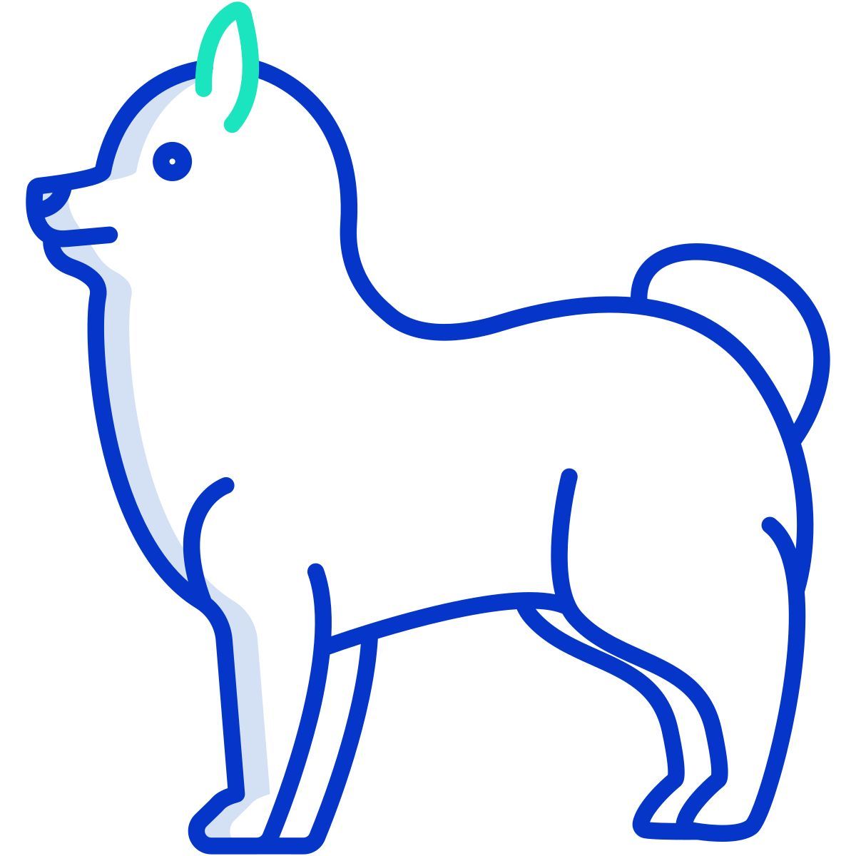 博美犬 icon