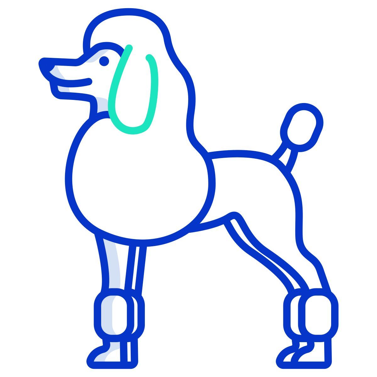 pudel icon