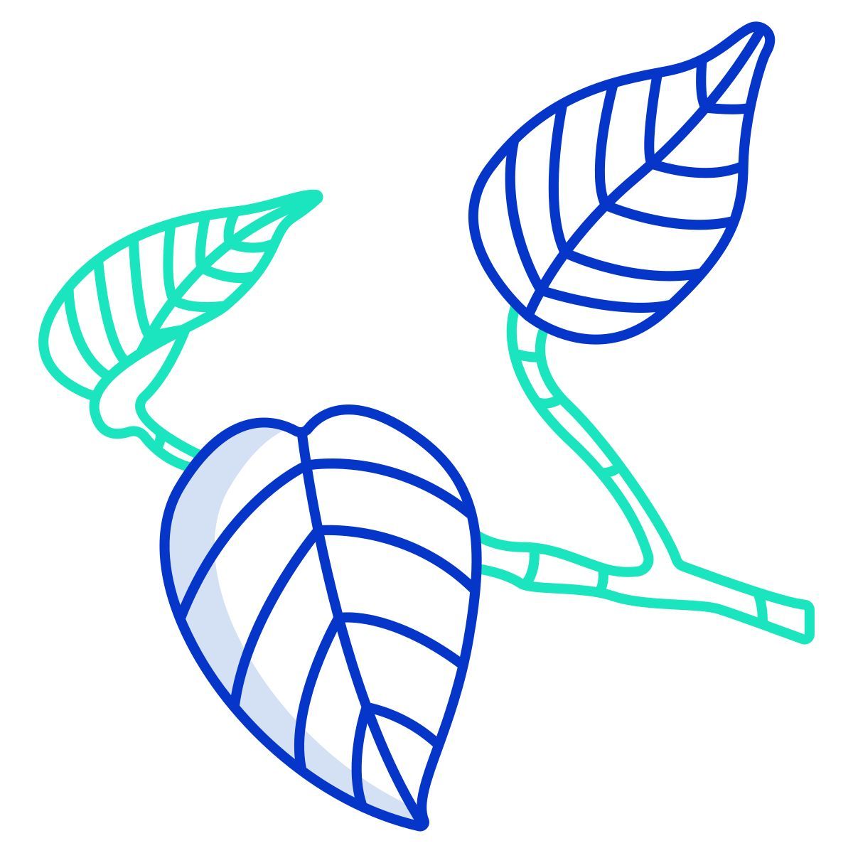 pothos icon