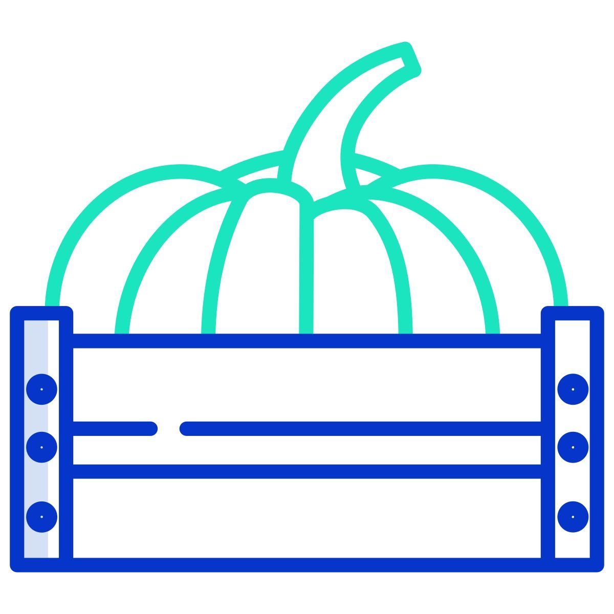 pumpkin icon