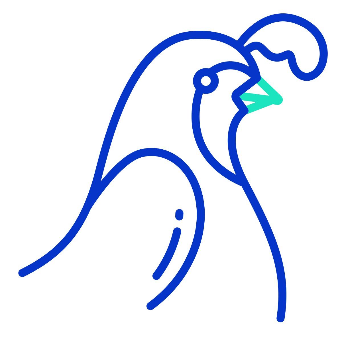 quail icon