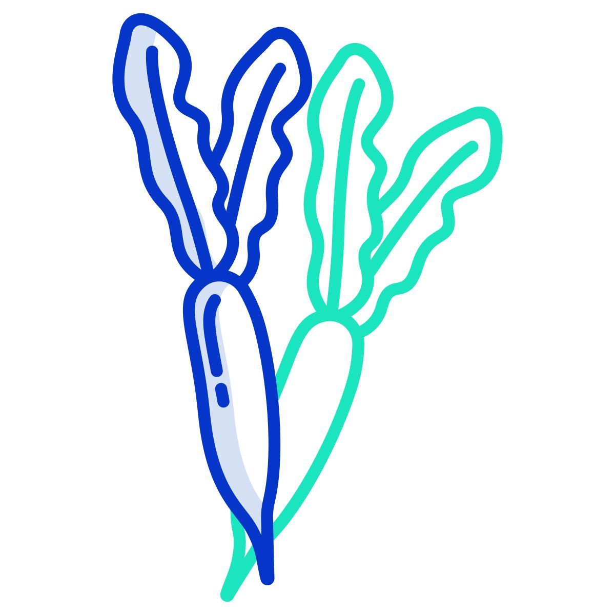 radish icon