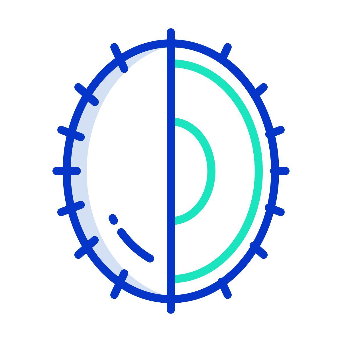ramboutan icon