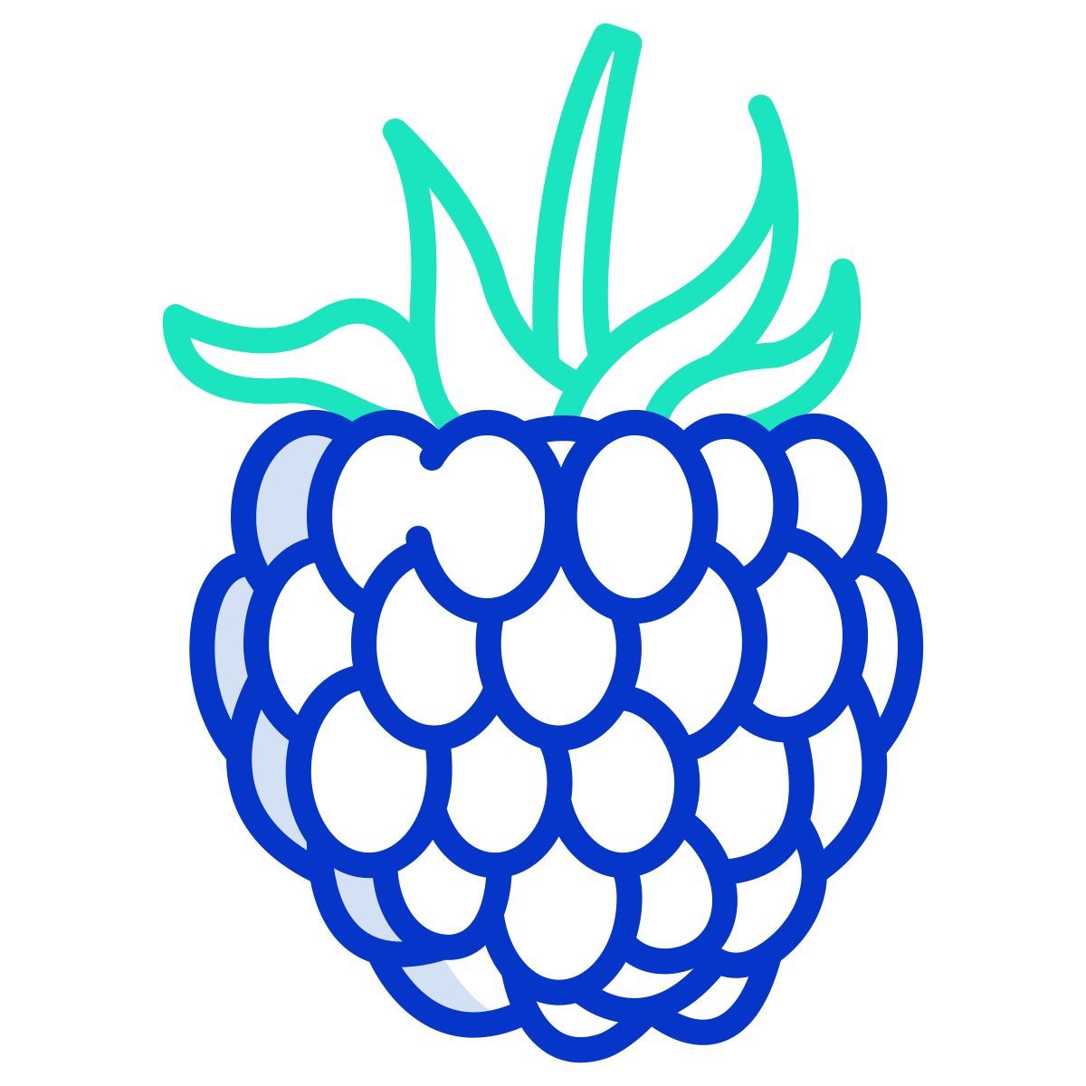 raspberry icon