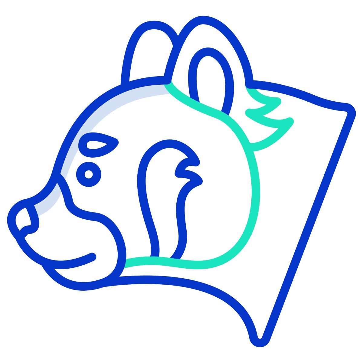red panda icon
