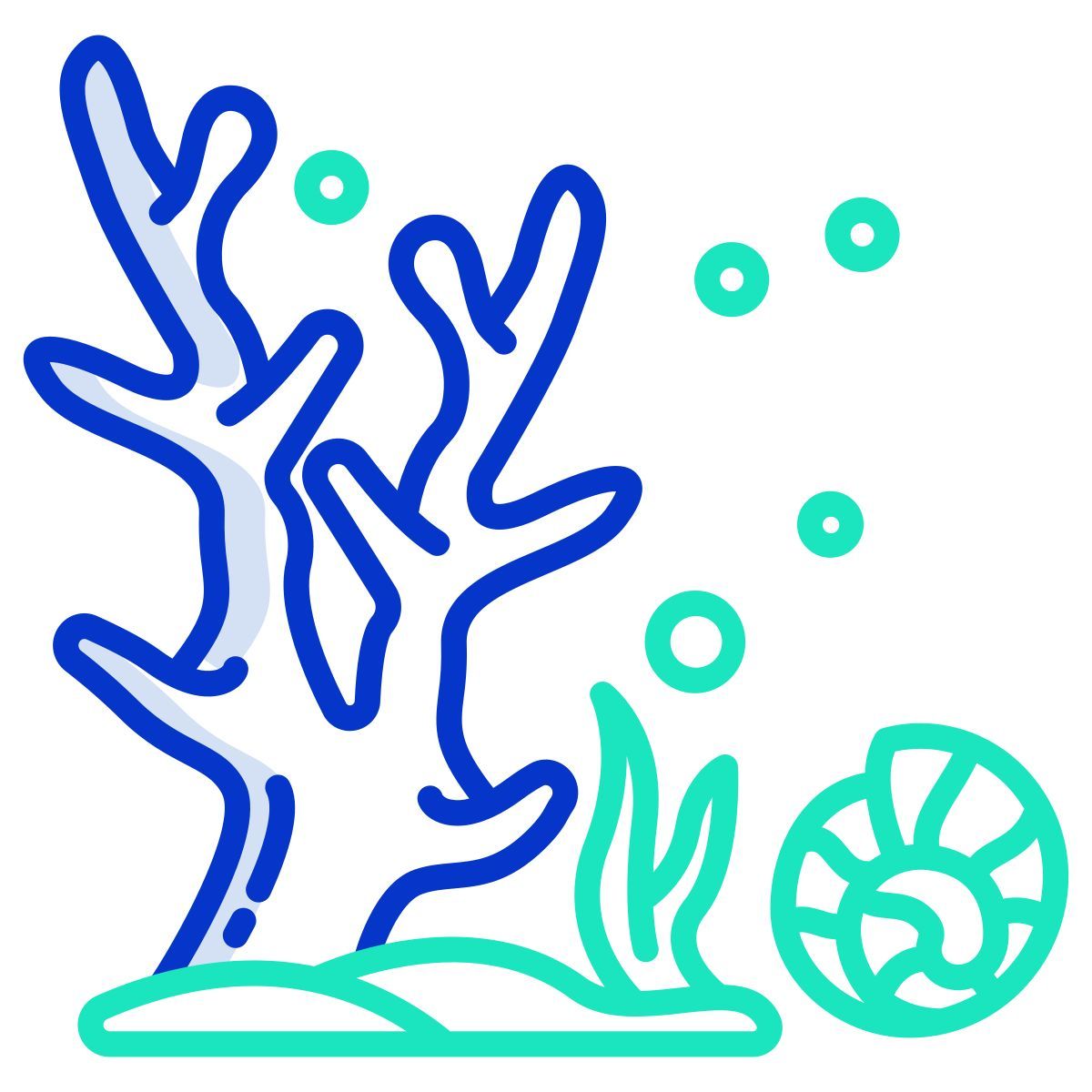 reef icon