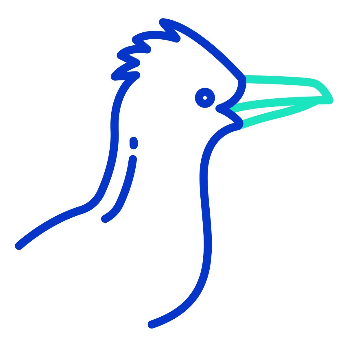 roadrunner icon