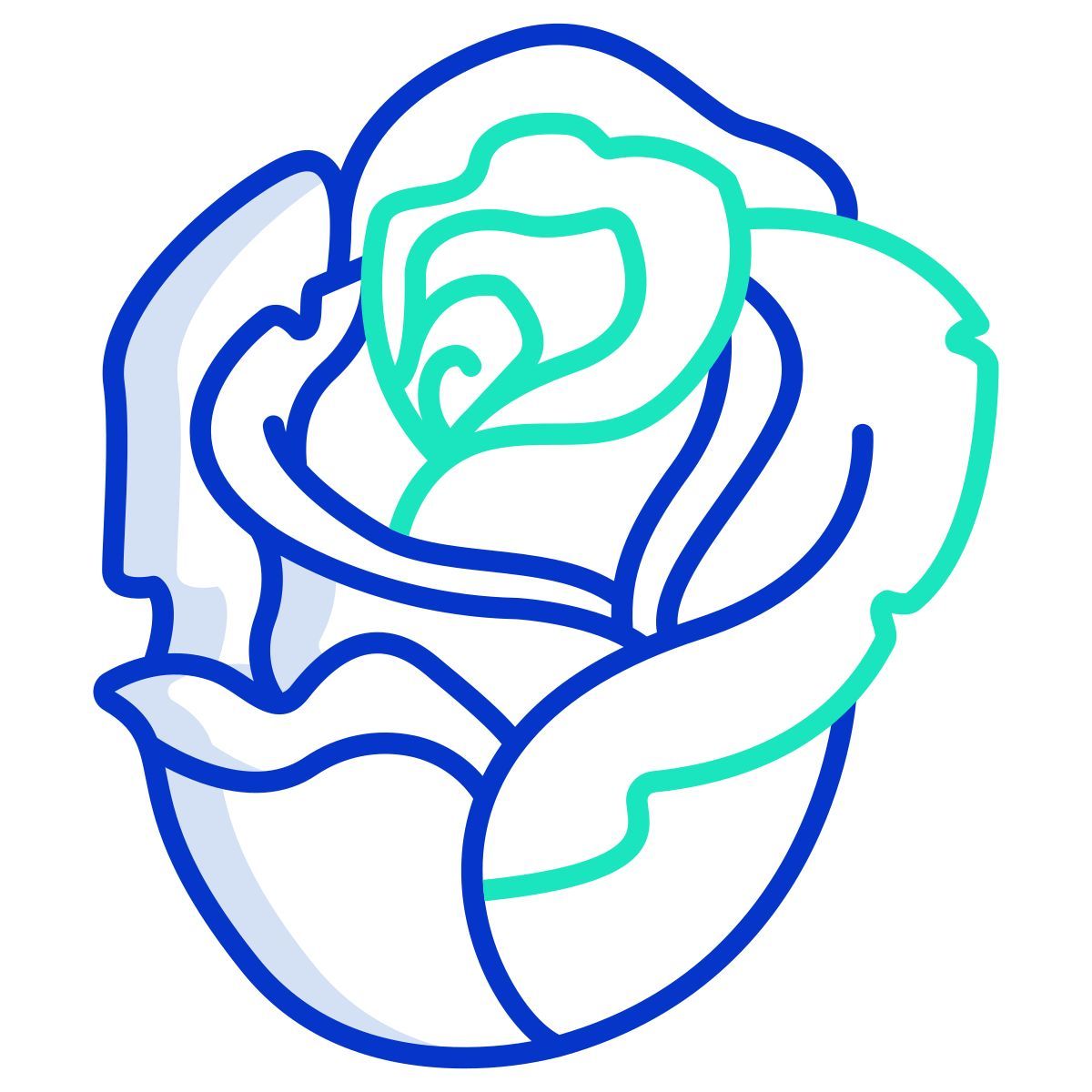 rose icon
