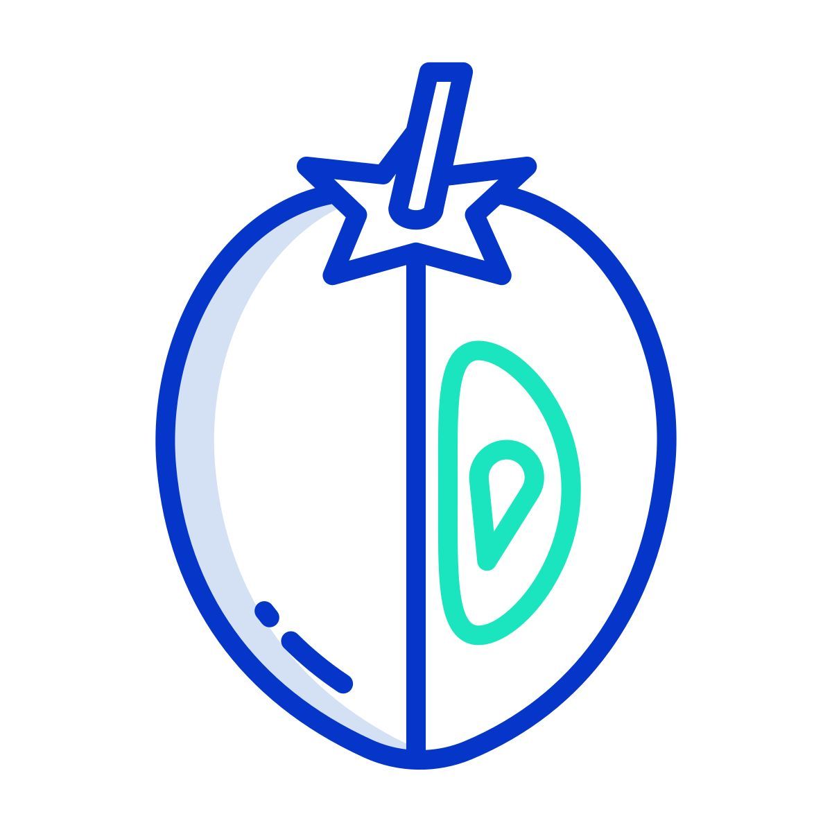 sapodilla icon