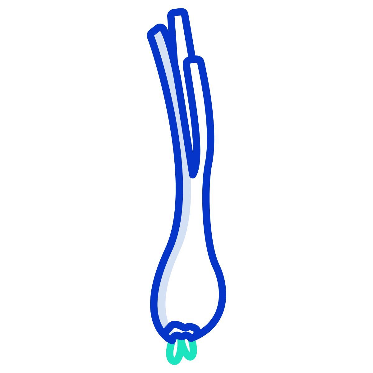 scallion icon