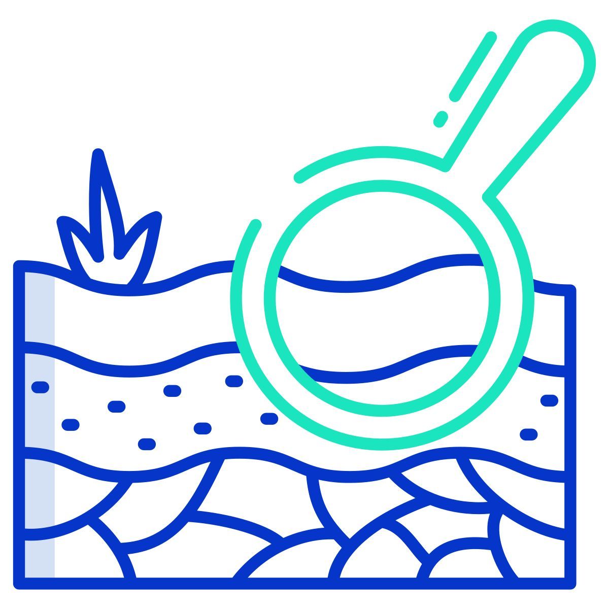 search icon
