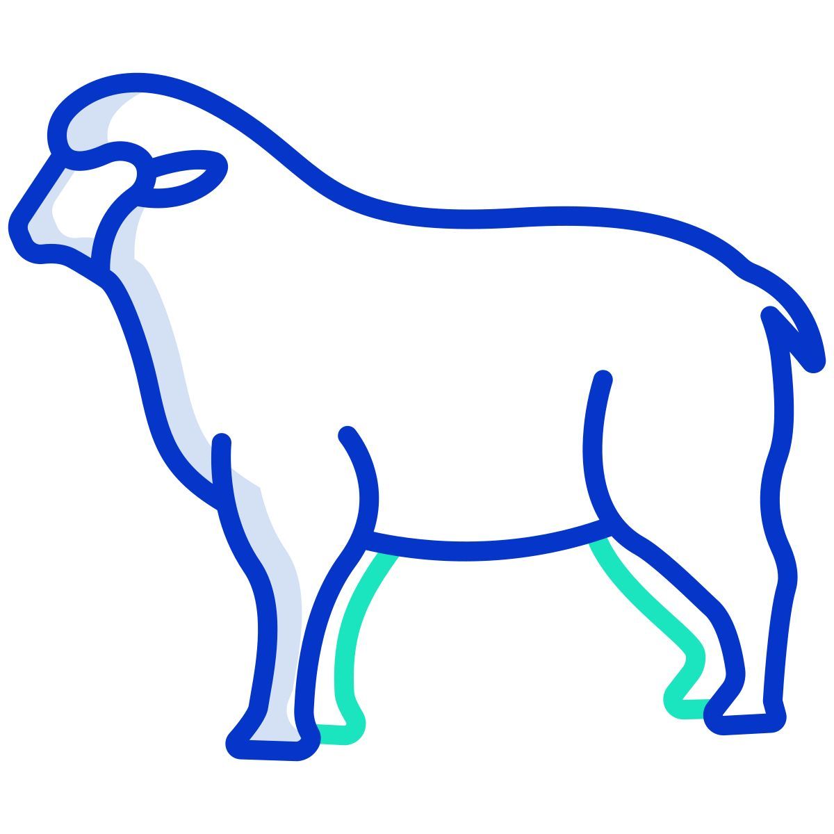 sheep icon