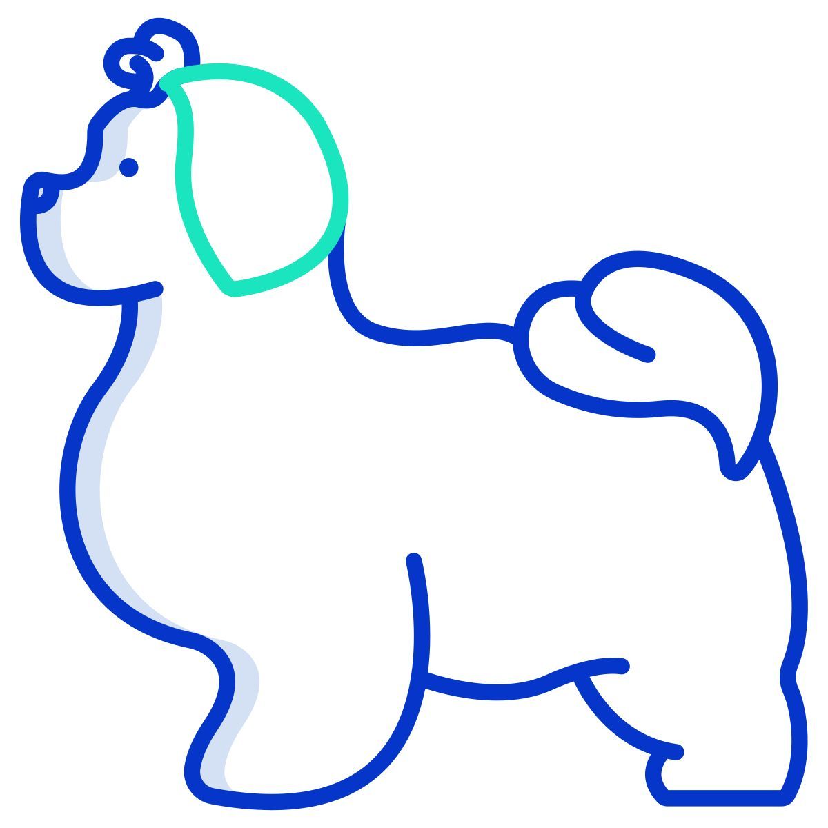 shih tzu icon