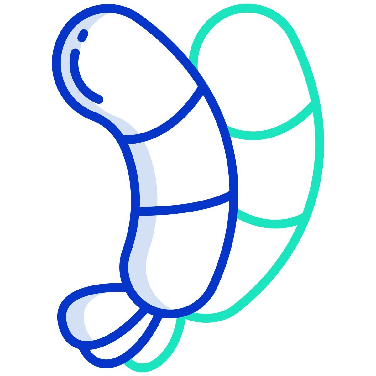 shrimp icon
