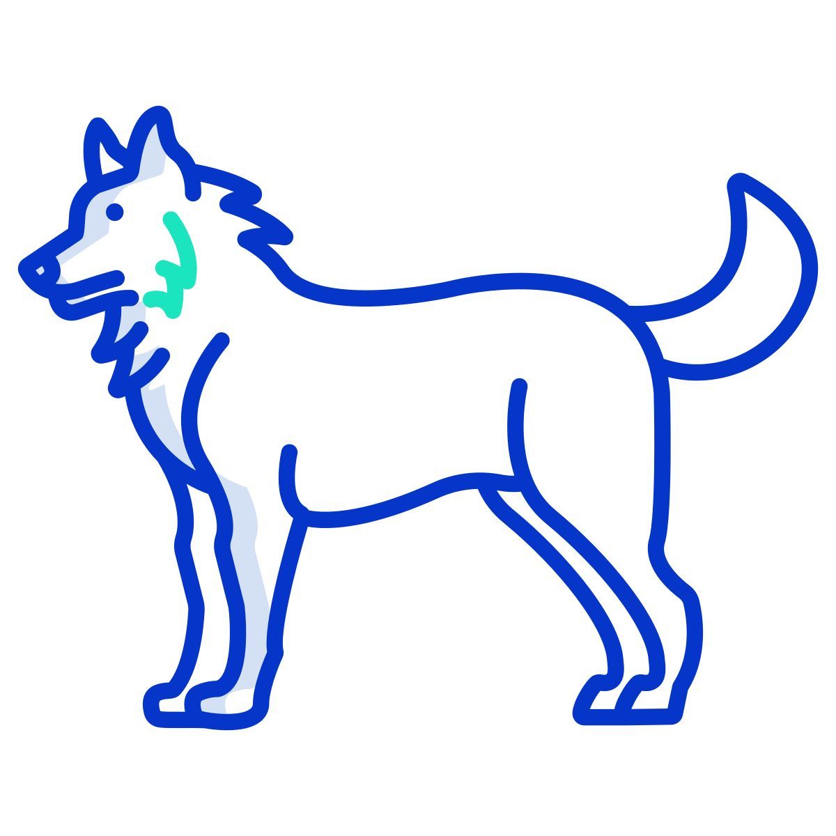 husky siberiano icon