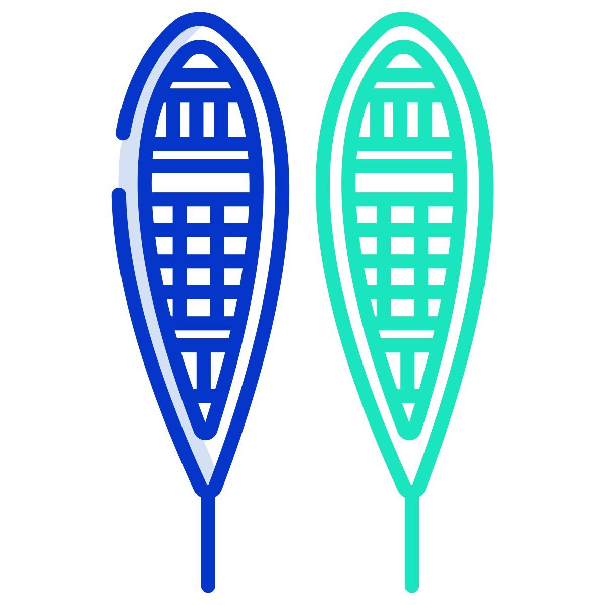 snowshoes icon