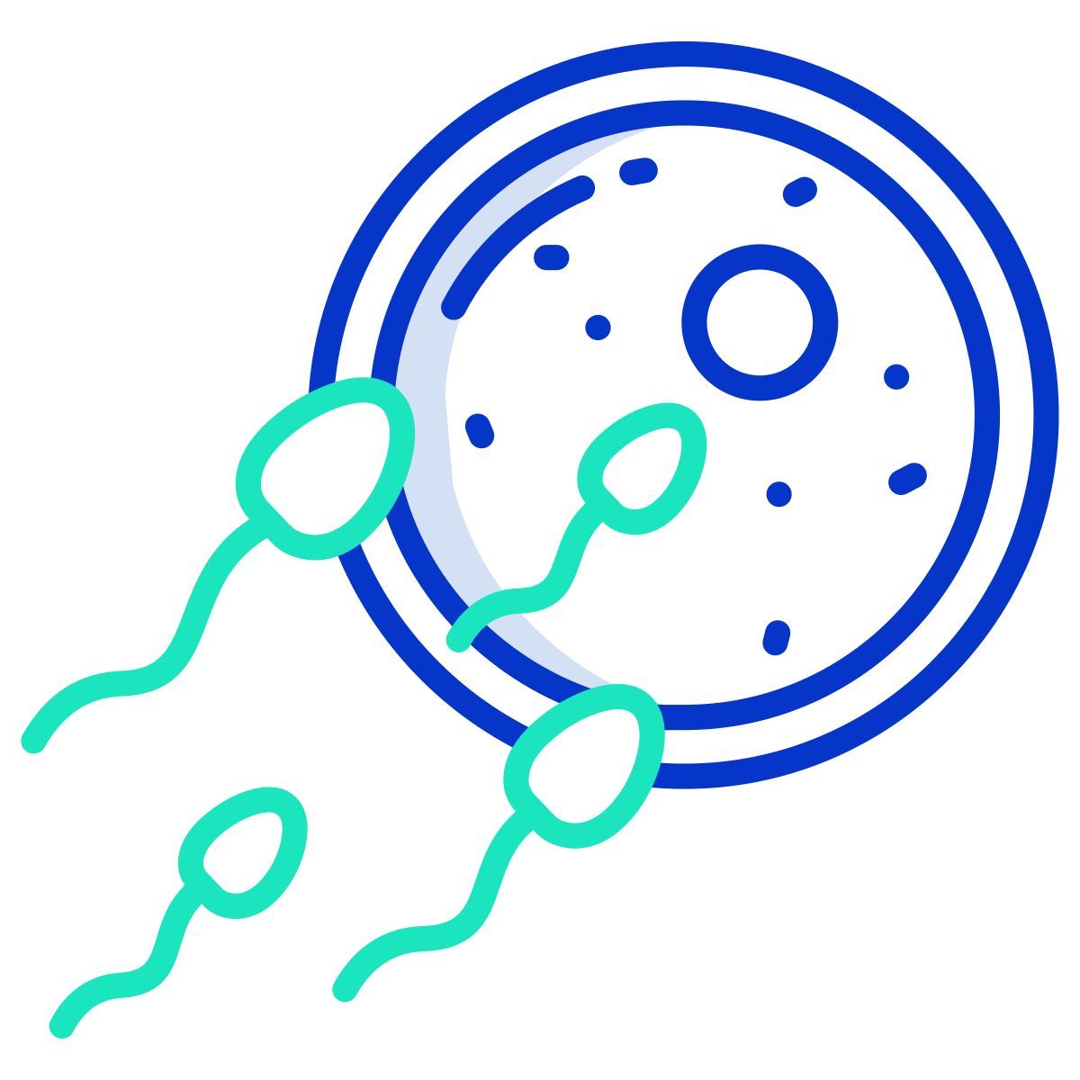 sperm icon