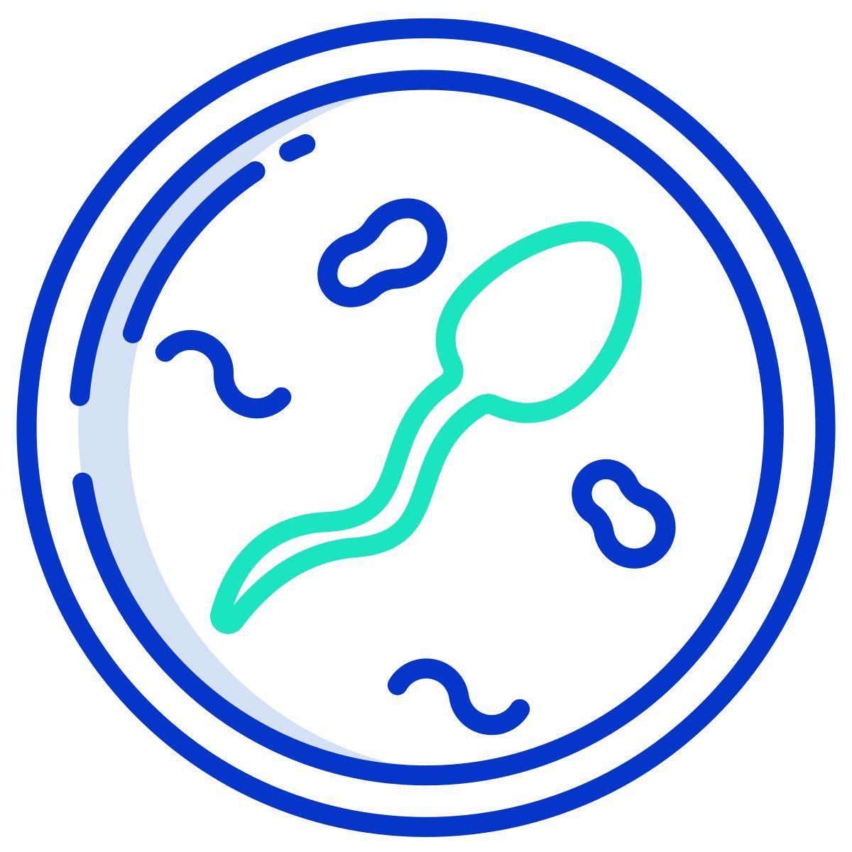sperm icon