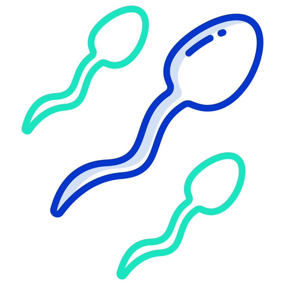 sperms icon