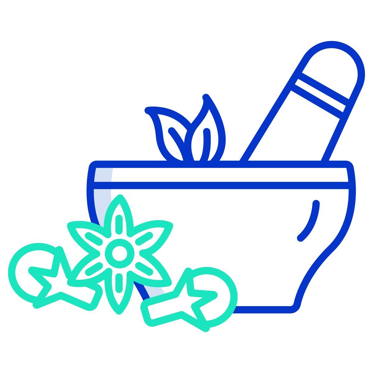spices icon