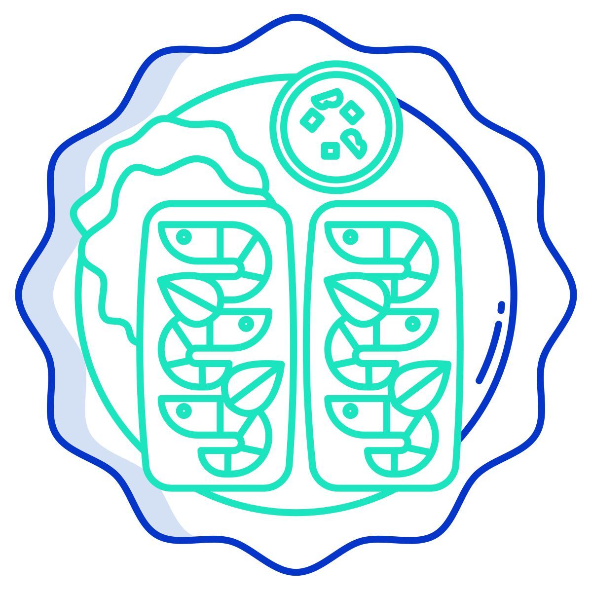spring roll icon