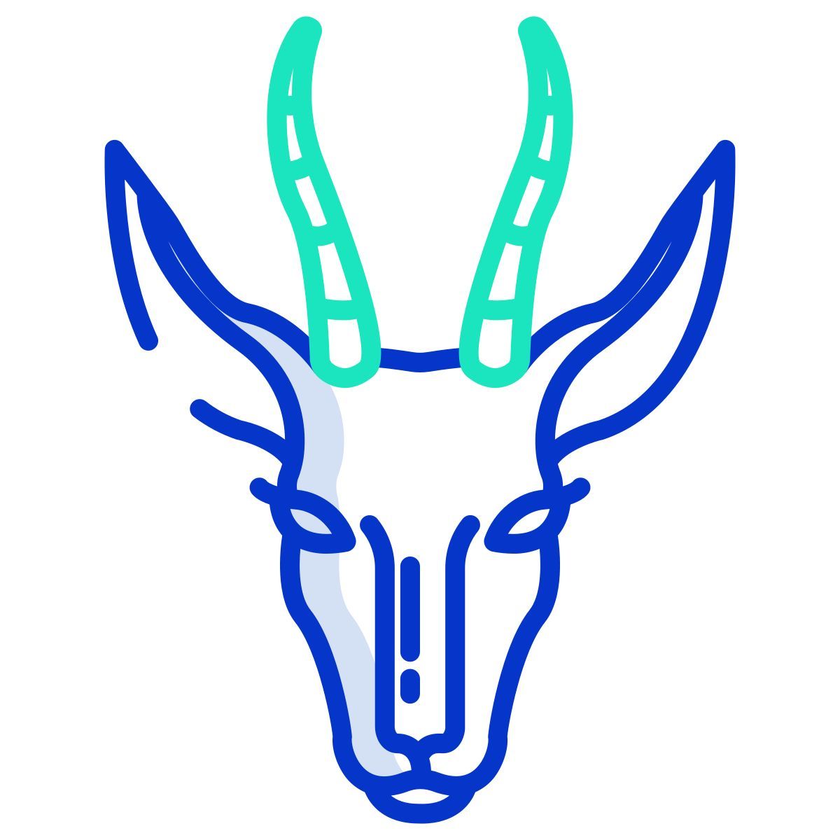 springbok icon