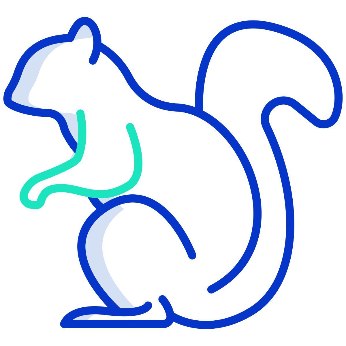 squirrel icon