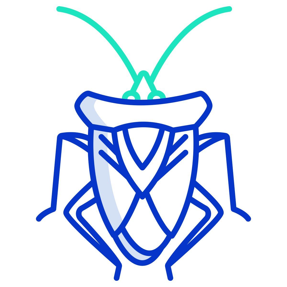 stink bug icon