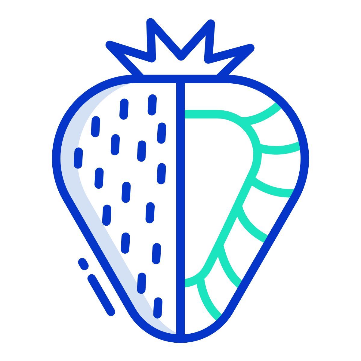 strawberry icon