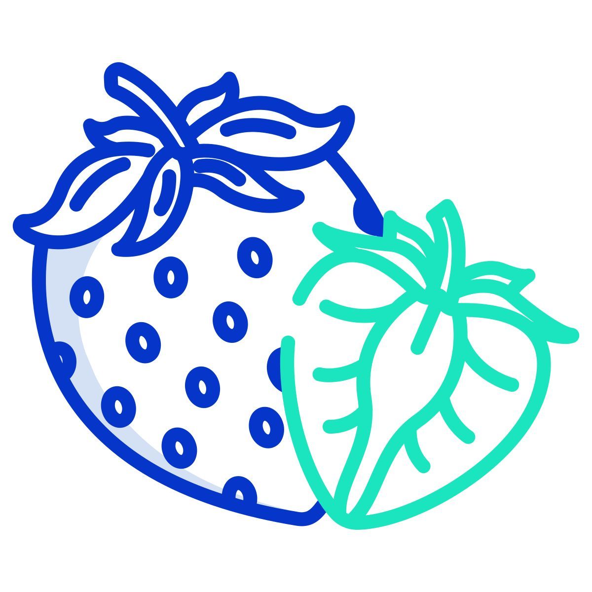 strawberry icon