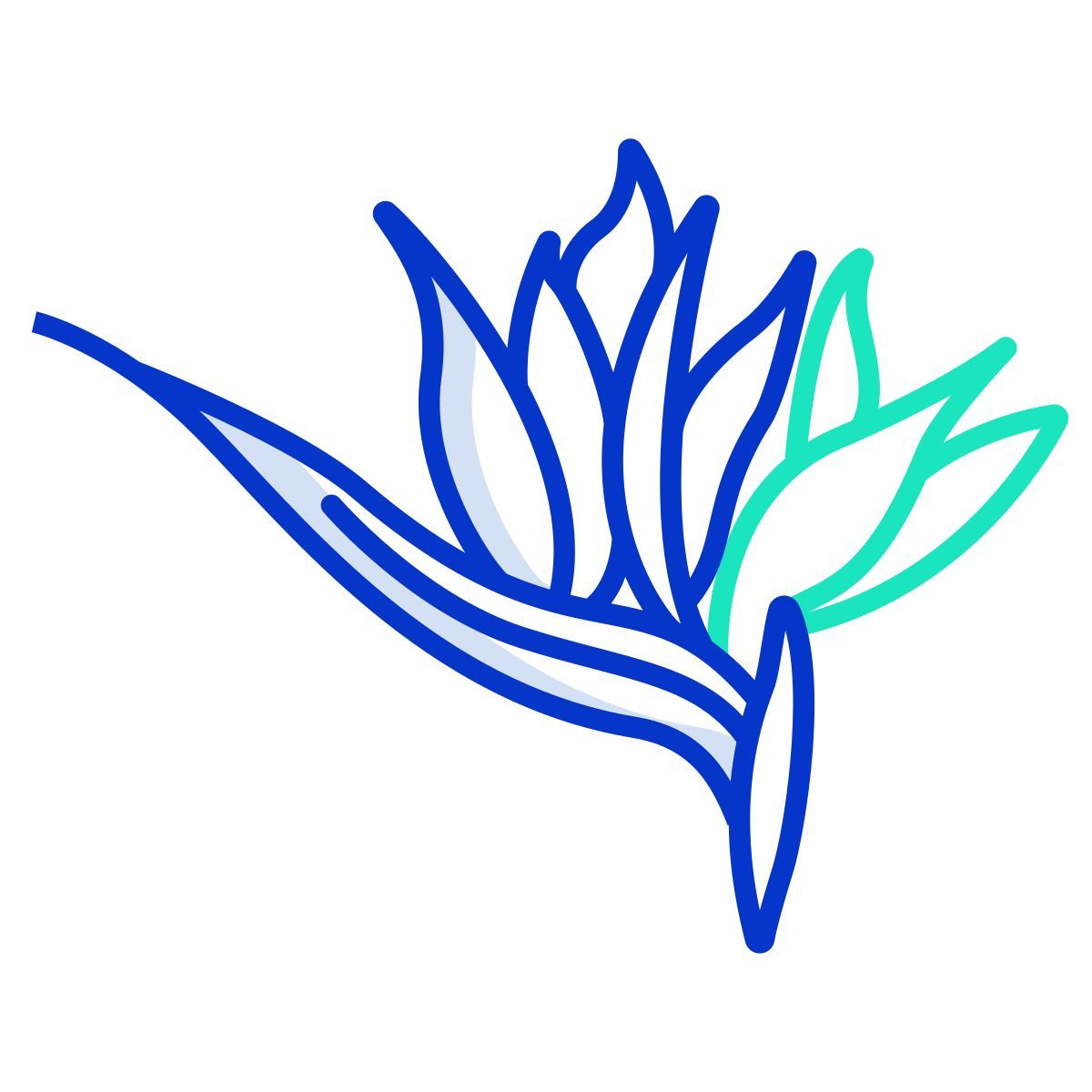 스트렐리치아 icon