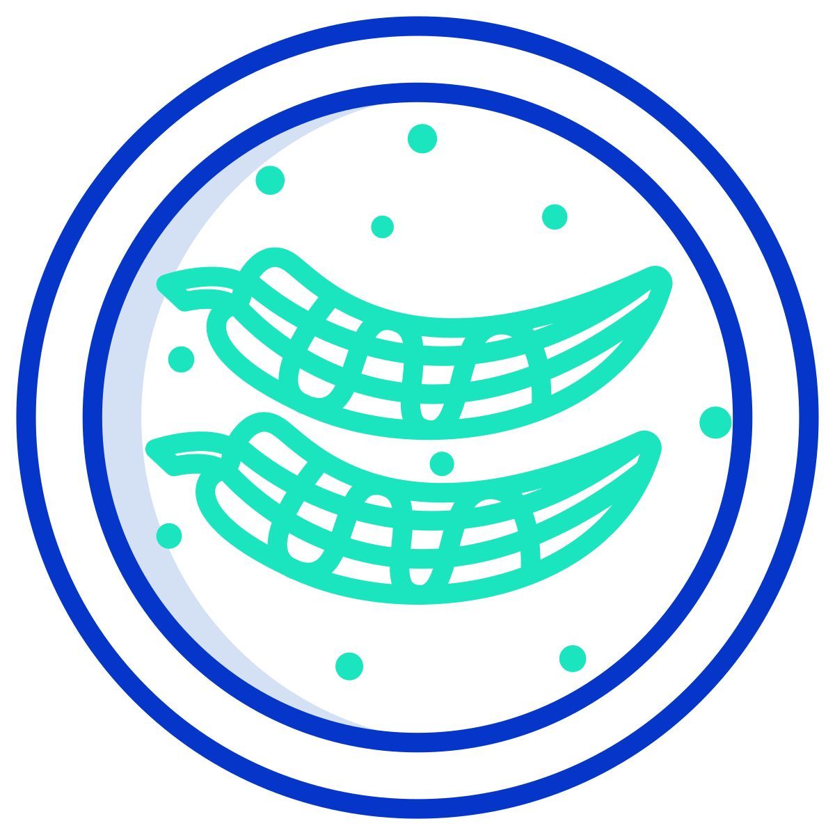 stuffed chiles with walnut sauce icon