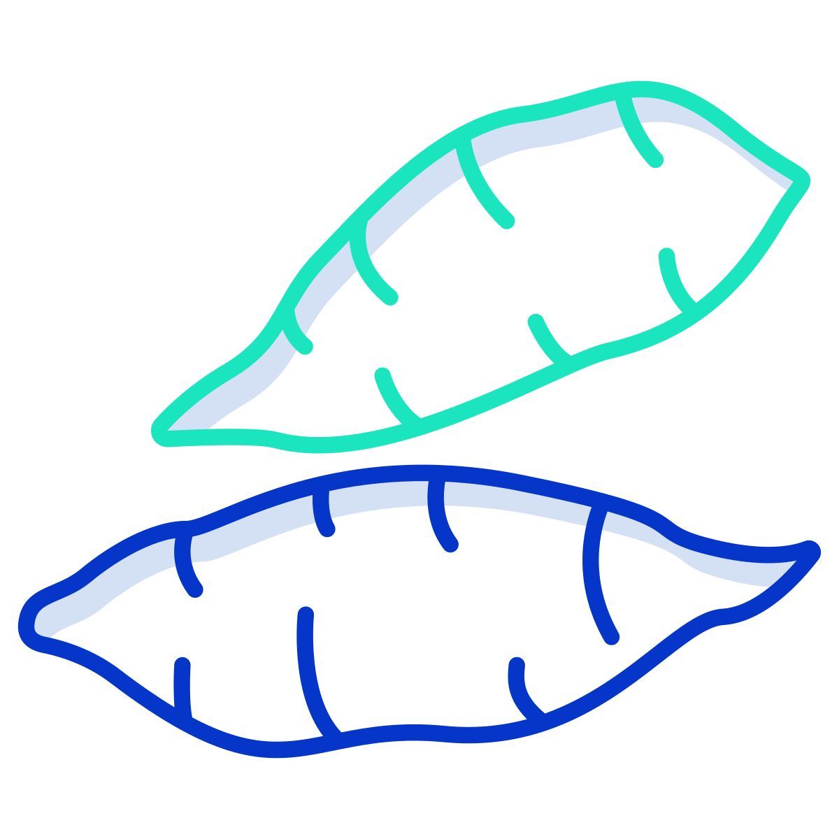 sweet potato icon